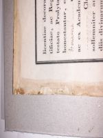 e2 antica pergamena, particolare dei bordi ricoperti da tracce di vecchia colla